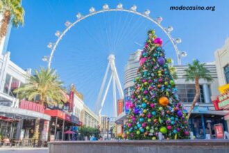 Things to Do in Vegas in December